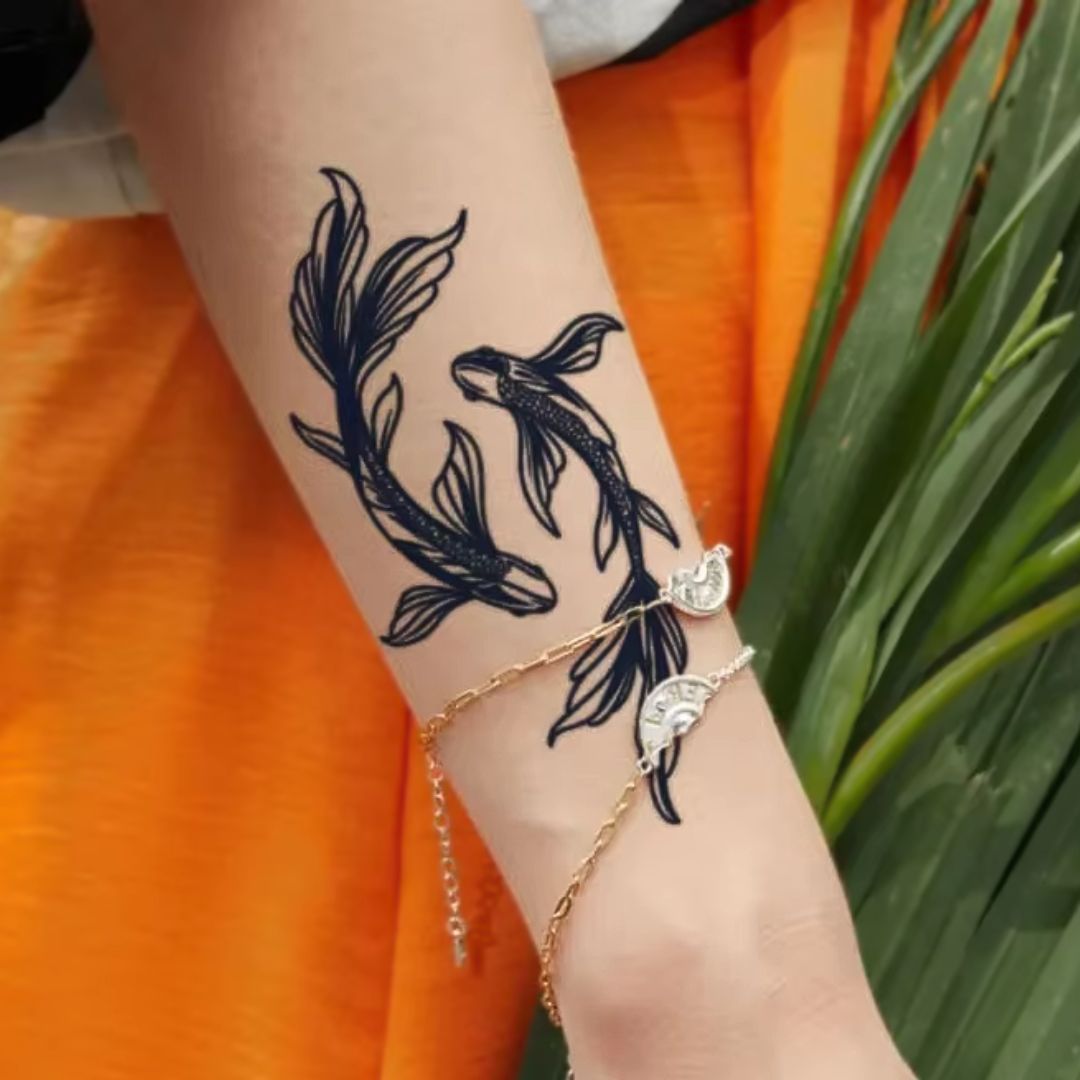 Koi - Temporalis