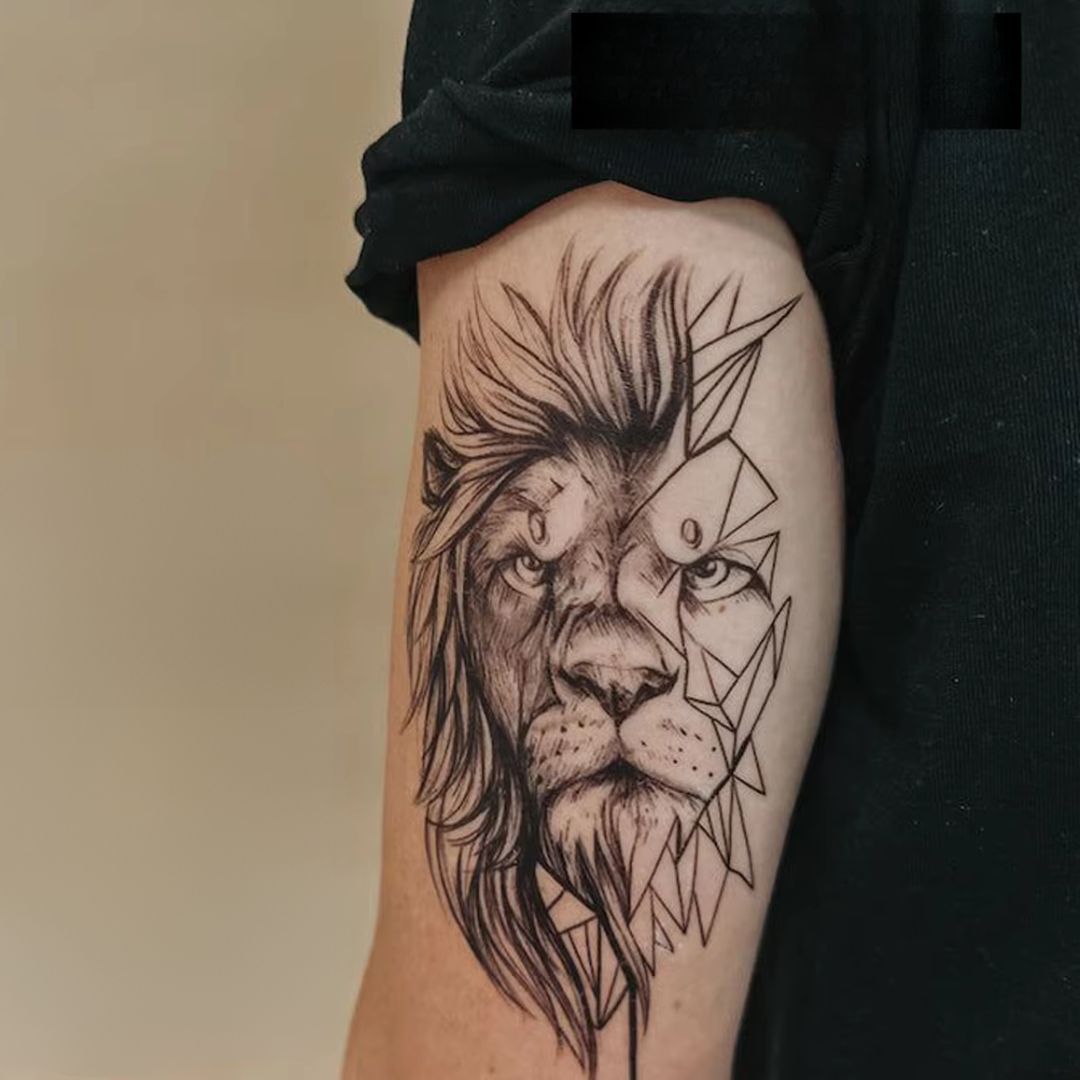 Lion - Temporalis