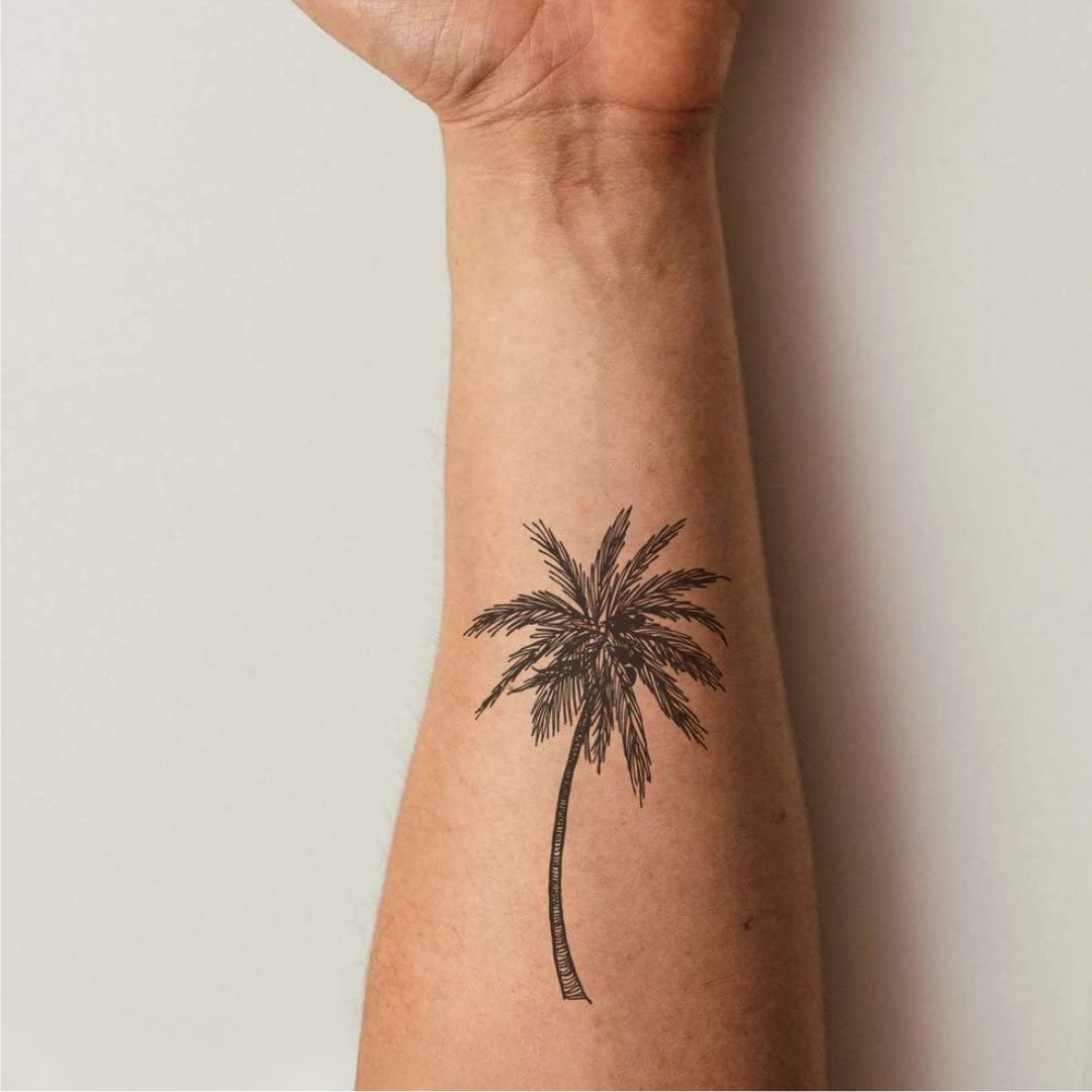 Palm Tree - Temporalis