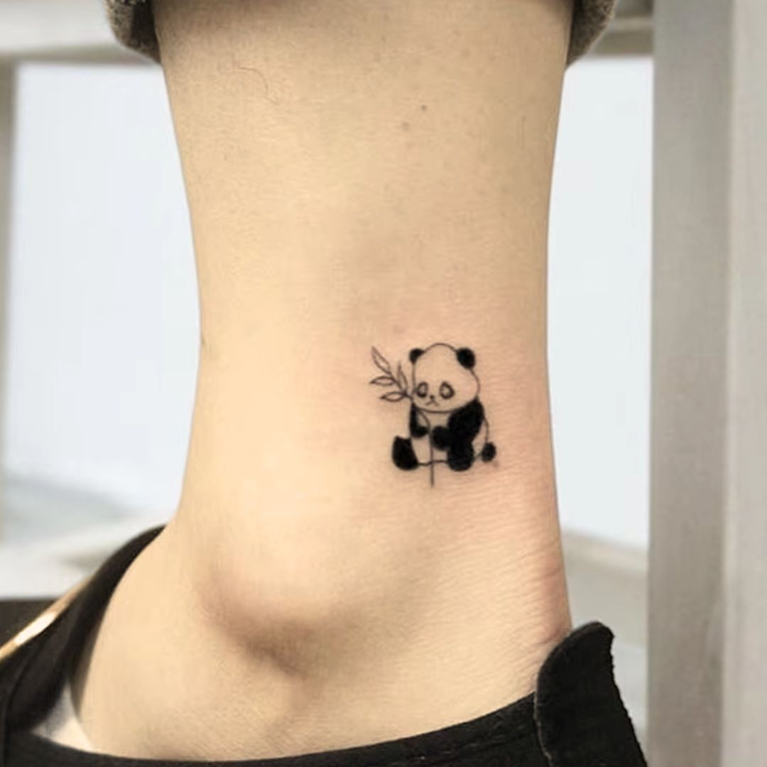 Panda - Temporalis