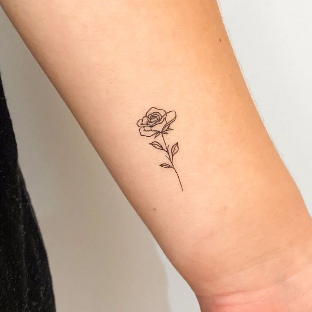 Rose - Temporalis