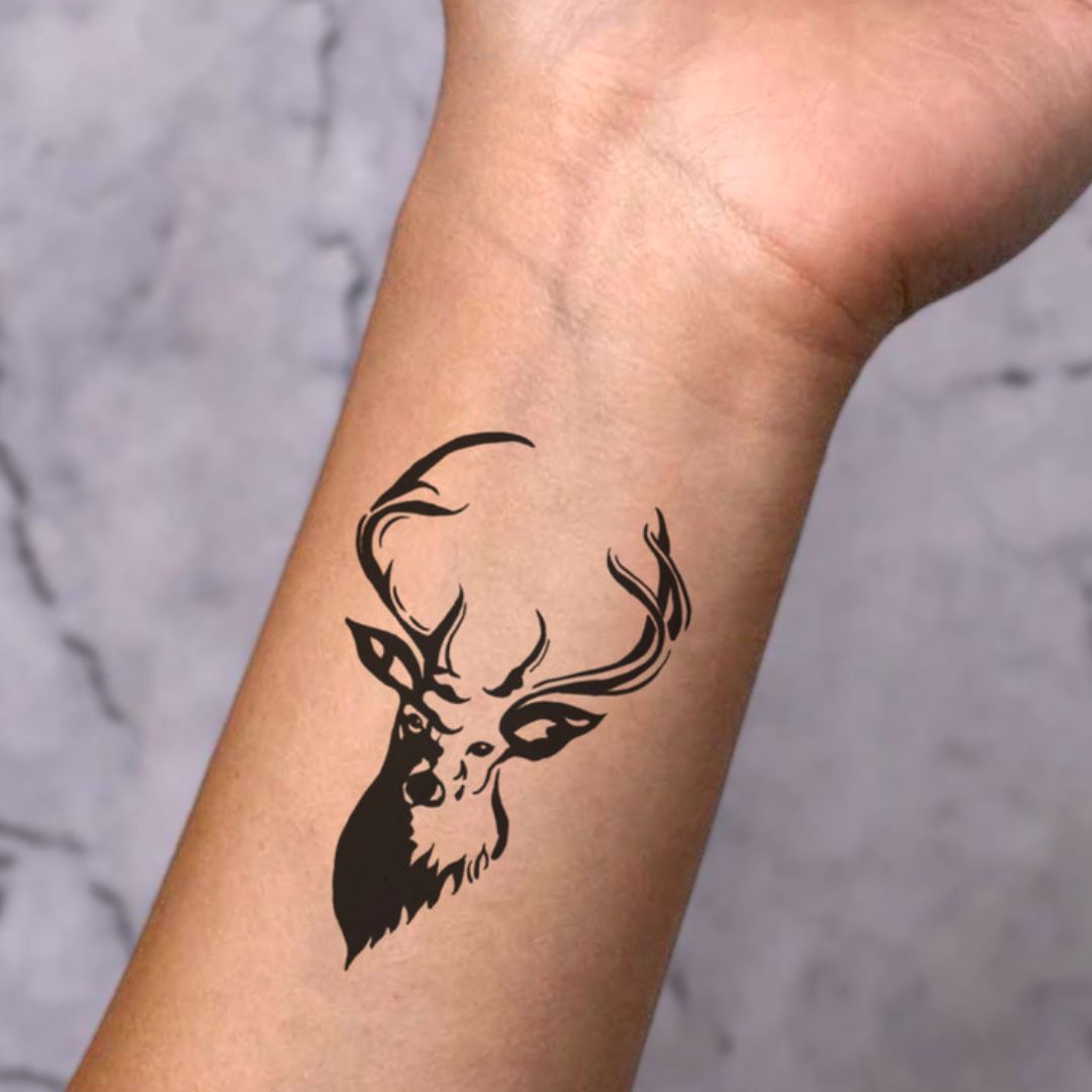 Stag - Temporalis