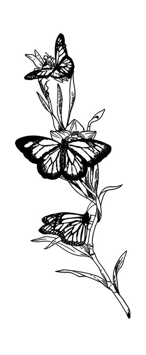 Butterfly dance 1 - Temporalis