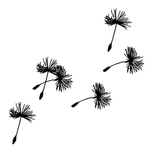 Dandelion Seeds 1 - Temporalis