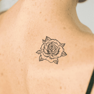 Detailed Rose 1 - Temporalis