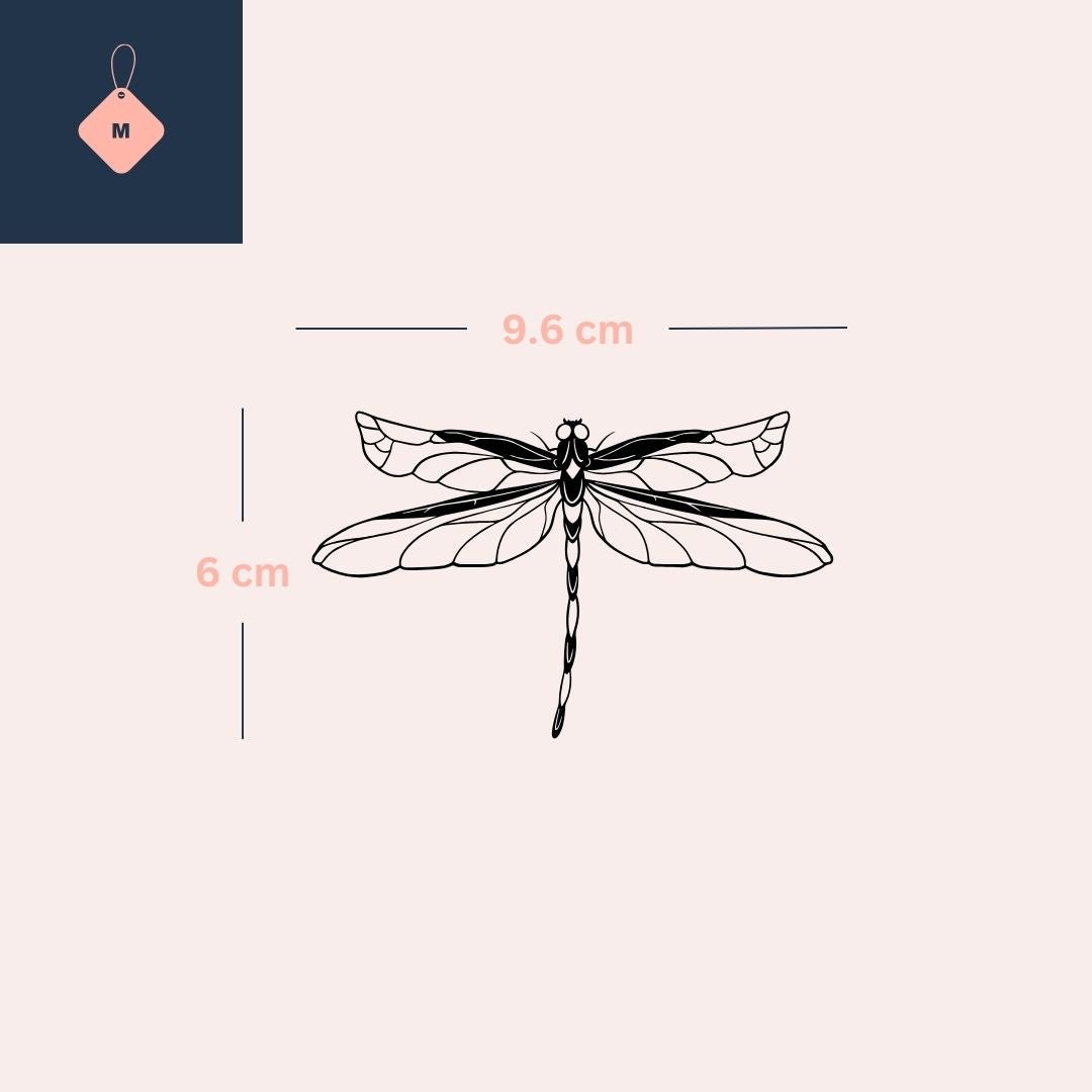 Elegant Dragonfly 2 - Temporalis