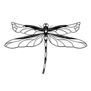 Elegant Dragonfly 1 - Temporalis