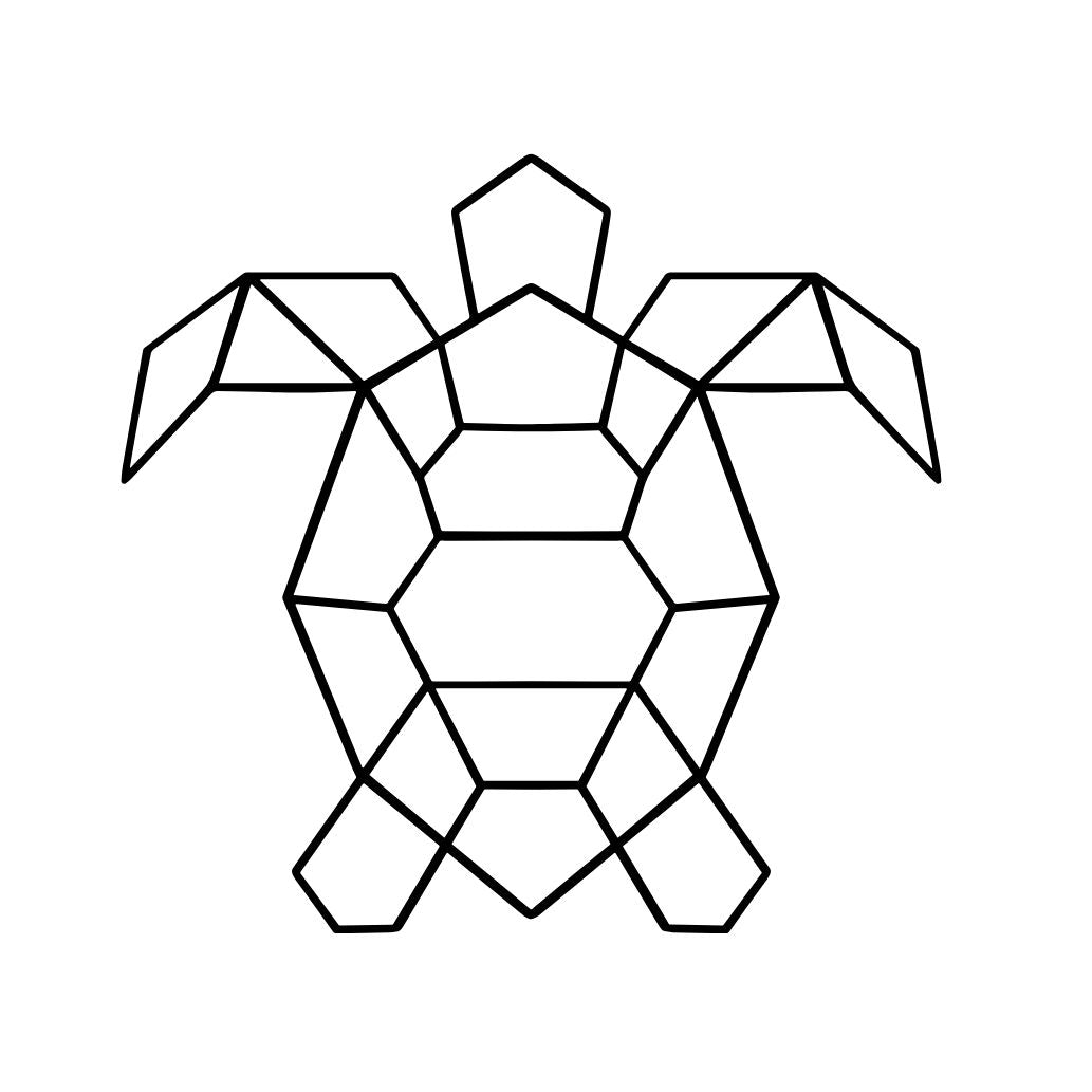 Geometric Turtle 2 - Temporalis