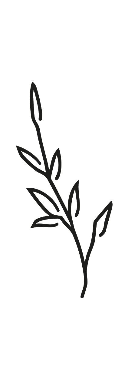 Minimalist Herb Stem 1 - Temporalis