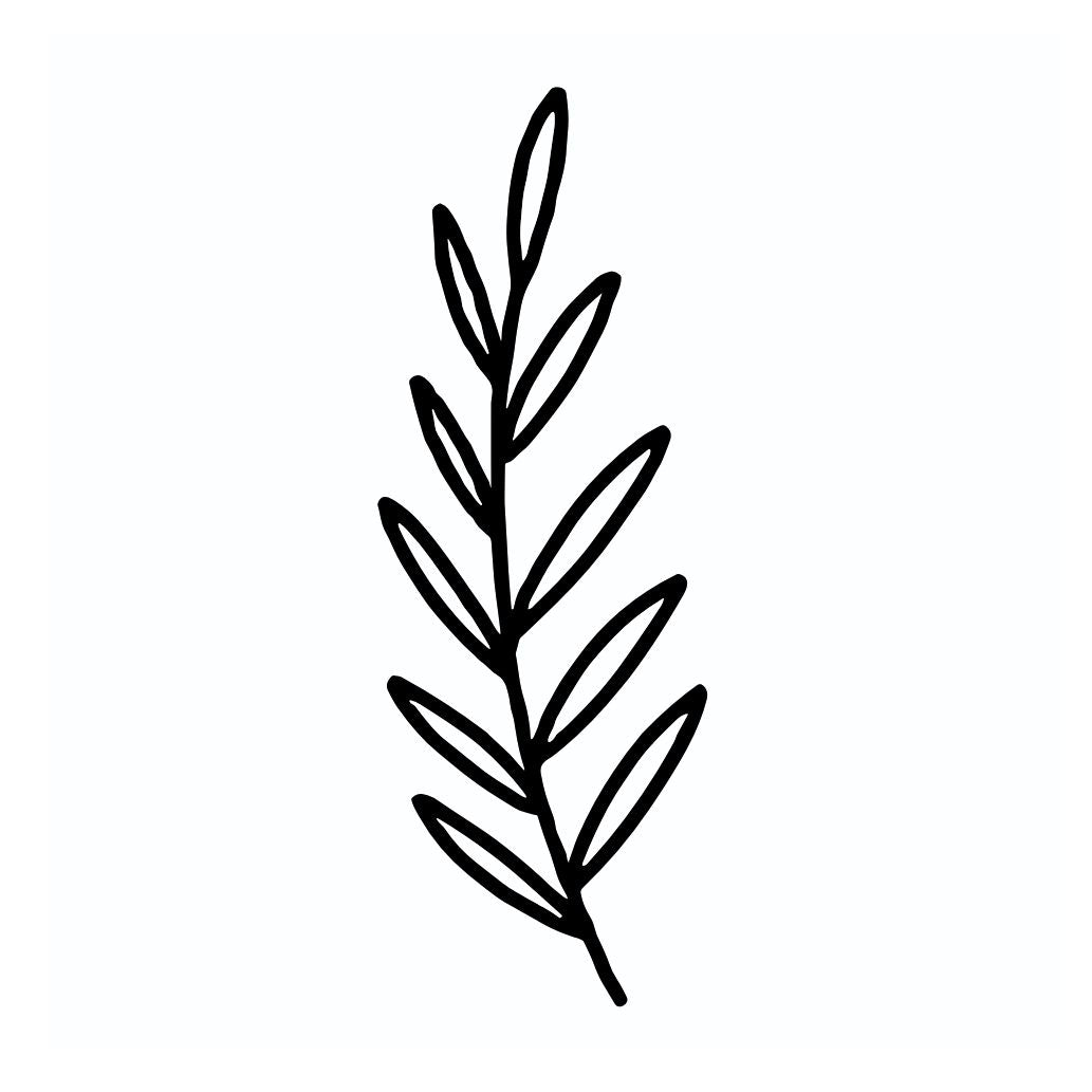 Minimalist Olive Branch 1 - Temporalis