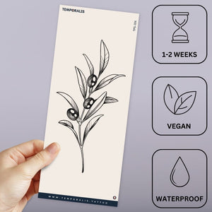 Olive Branch 3 - Temporalis
