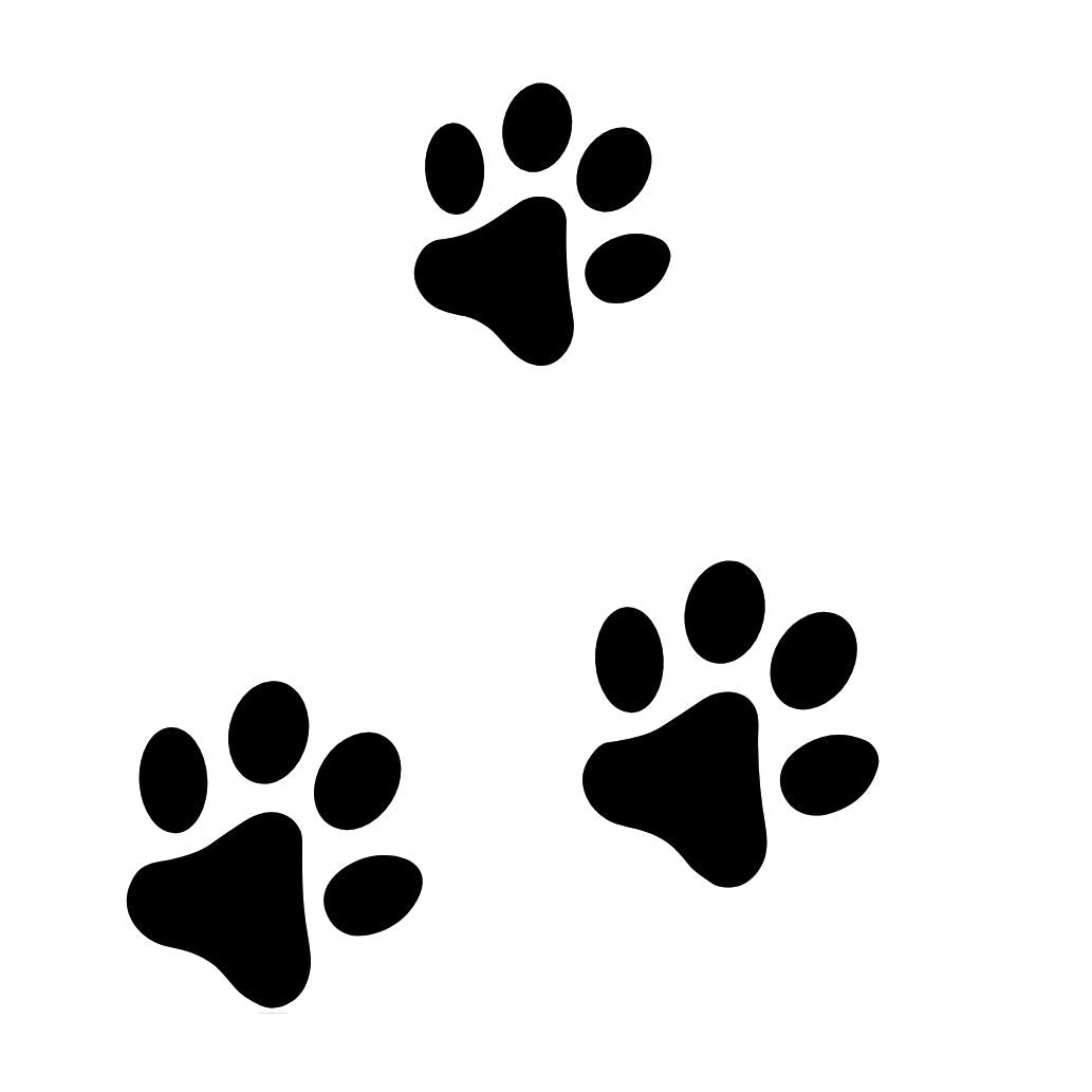 Pawprint Trio 1 - Temporalis