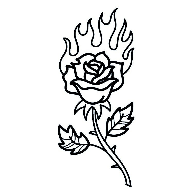 Rose in fire 2 - Temporalis